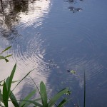水面鏡 水面鏡